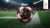 Anpfiff zum Sammeln. Laden, sammeln und deinen DFB-Fanball sichern!