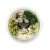 japan_bowl